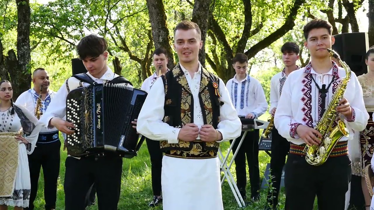 Dalin Voila - Banatenii mei