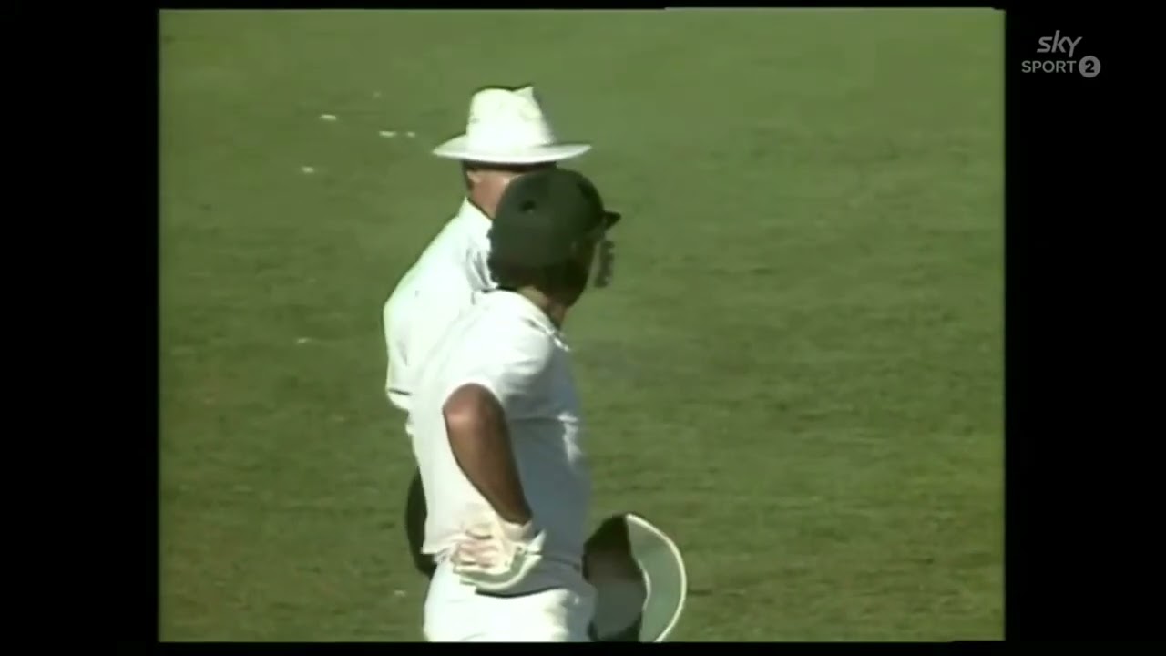 Danny Morrison's Fever Dream (cricket)