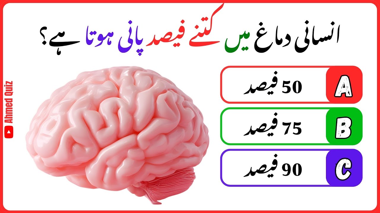 General Knowledge Quiz in Urdu | GK Questions | Interesting Facts | Urdu Quiz