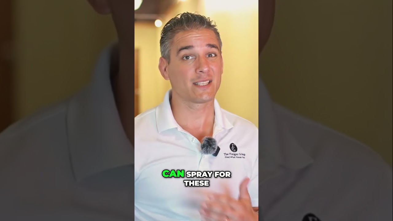 South Carolina Bugs: Pest Control & Staying Safe!