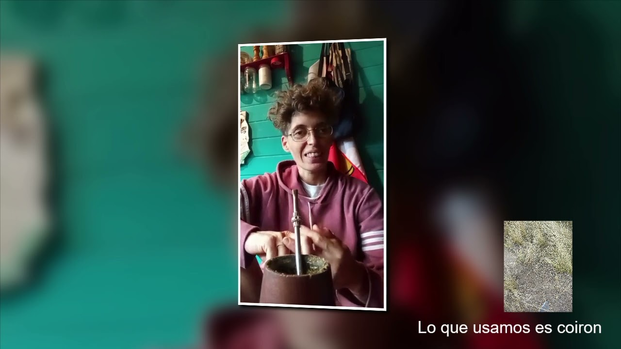 CAPITULO 2 técnica de quincha