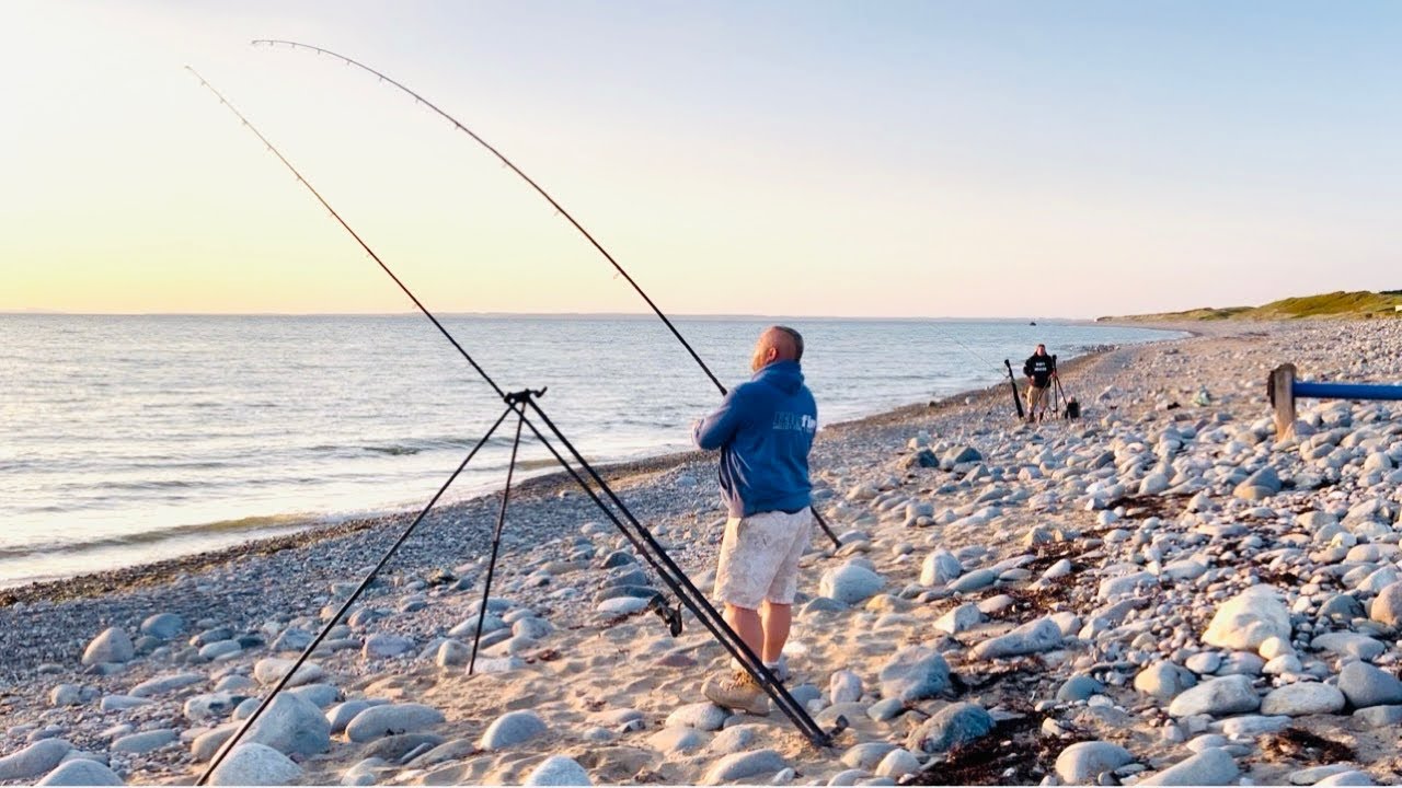 Chasing BASS on the Llyn Peninsula❗️UK Sea Fishing
