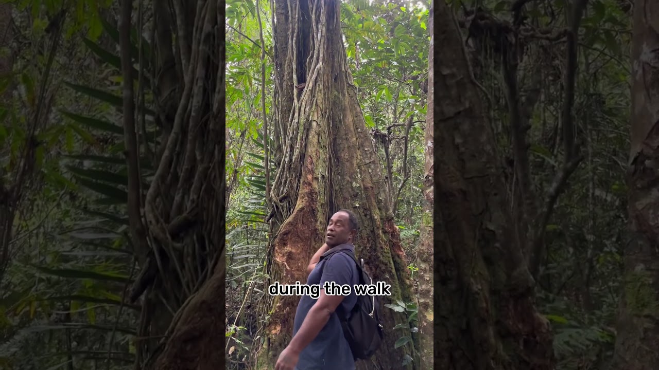 Hiking in Fiji, Biausevu waterfall