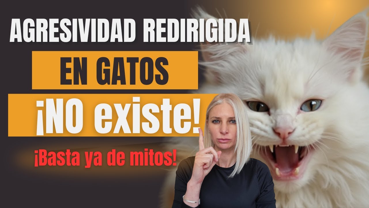 &iexcl;Cambia tu visi&oacute;n sobre la agresividad redirigida!