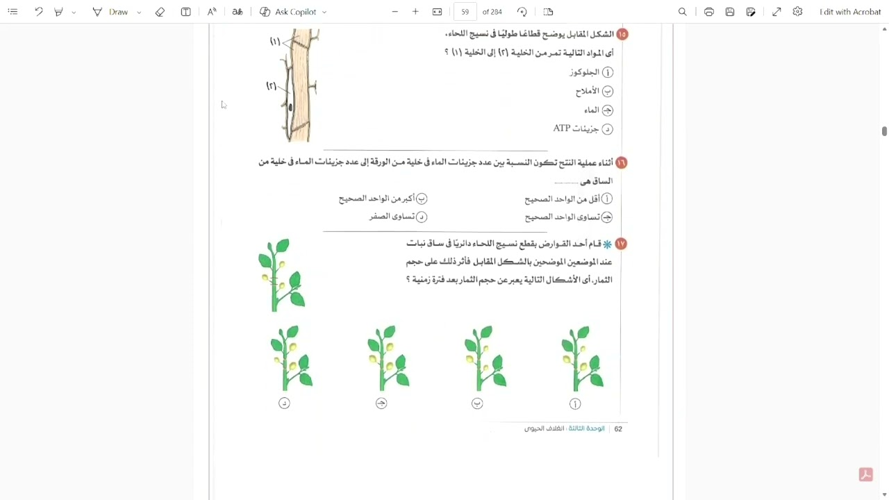 حل تدريبات الدرس الثاني ( النقل في النبات ) علوم متكامله ١ث 👌