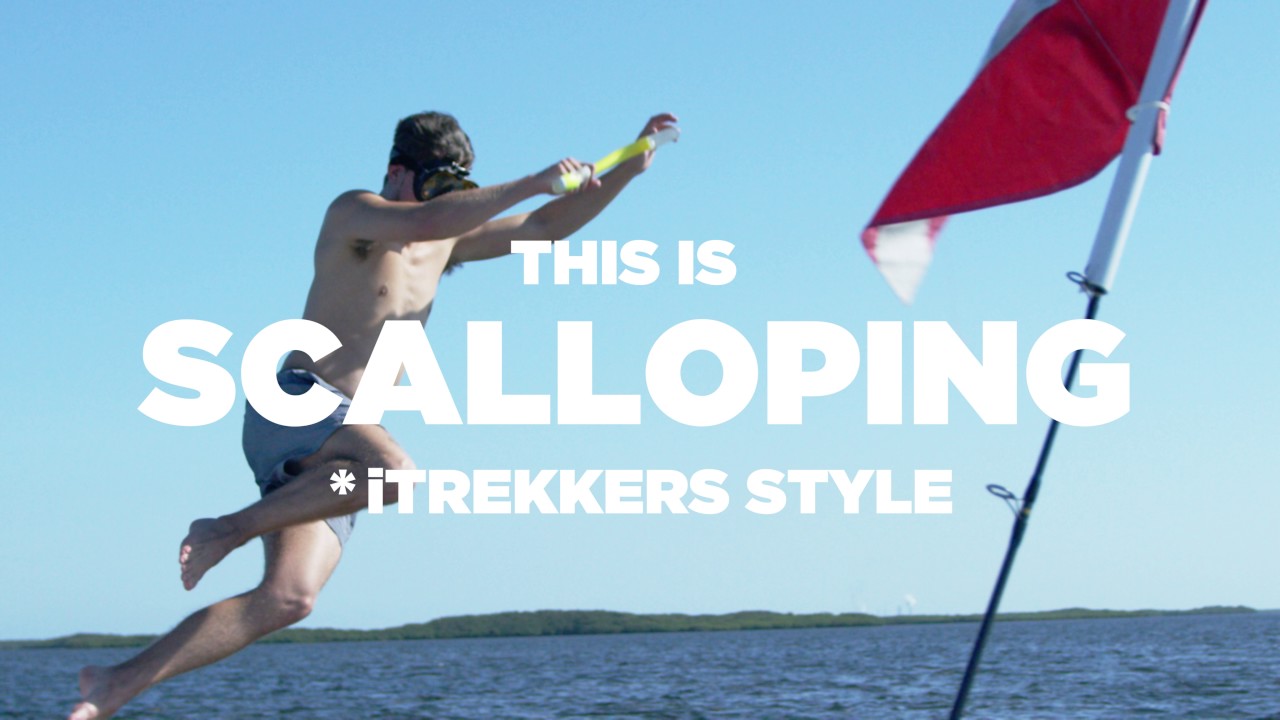 SCALLOPING: iTREKKERS STYLE