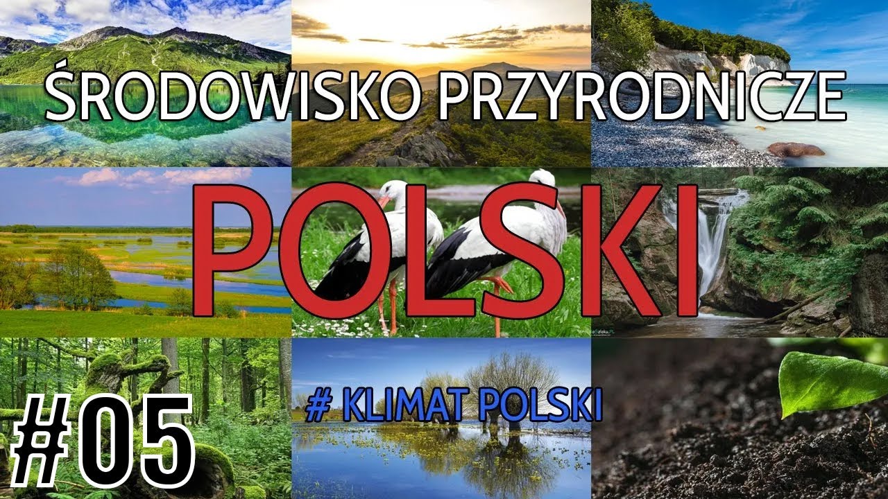 #05 Klimat Polski (GEOGRAFIA POLSKI)