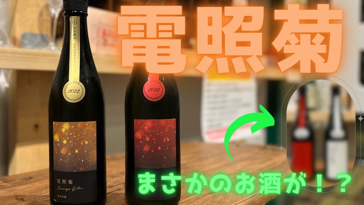 【品川区中延商店街の酒屋シュウサケ】電照菊の紹介のはずがまさかの！？【美味しい日本酒】2022年11月5日