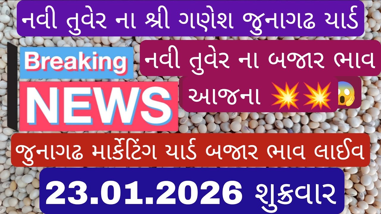 નવી તુવેર ના શ્રી ગણેશ જુનાગઢ માર્કેટિંગ યાર્ડ ૨૩.૦૧.૨૦૨૬. #મગફળીનાભાવ #mungfali #મગફળી #soyabean 