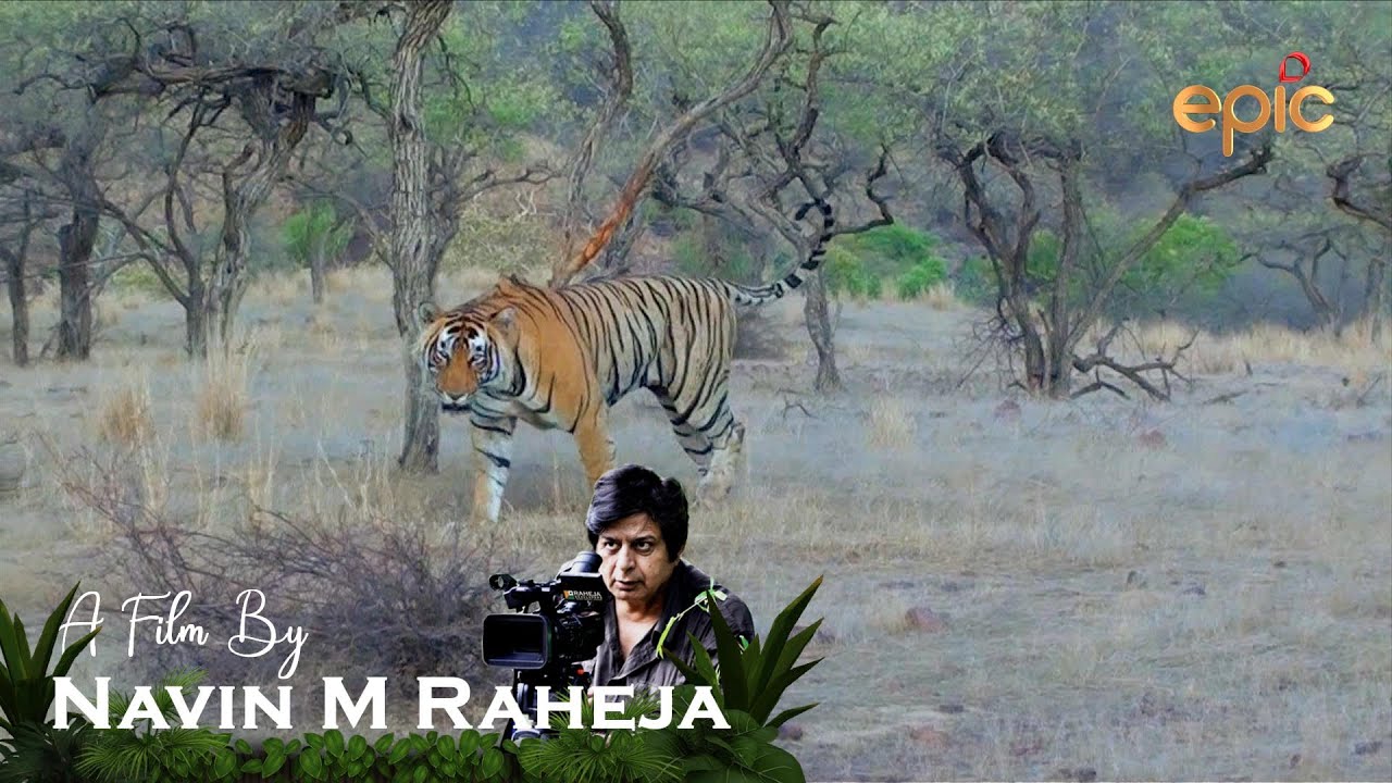 A Corridor For Tiger - A film by Navin M Raheja