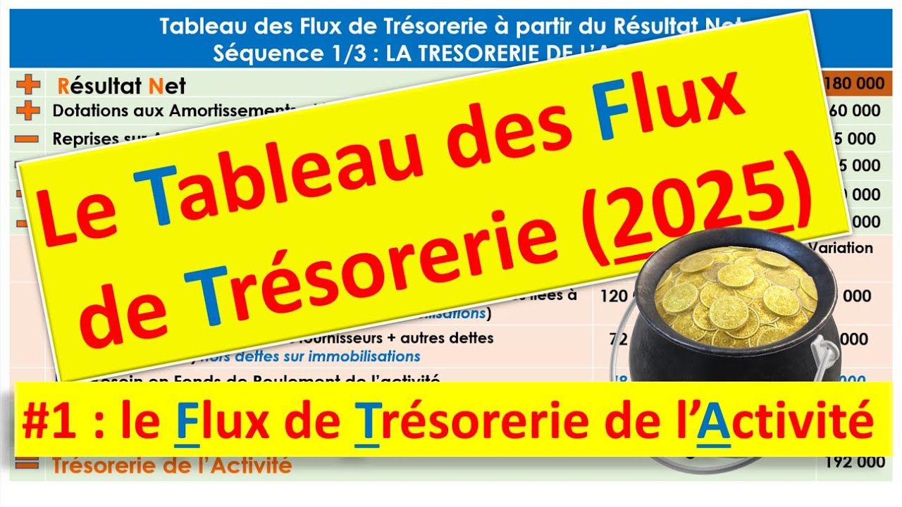 Tableau des Flux de Trésorerie 2025 : La Trésorerie de l'Activité
