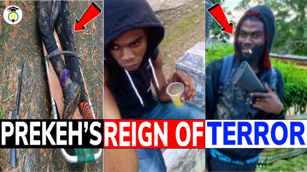 The RISE and FALL of PREKEH BWOY 🇯🇲