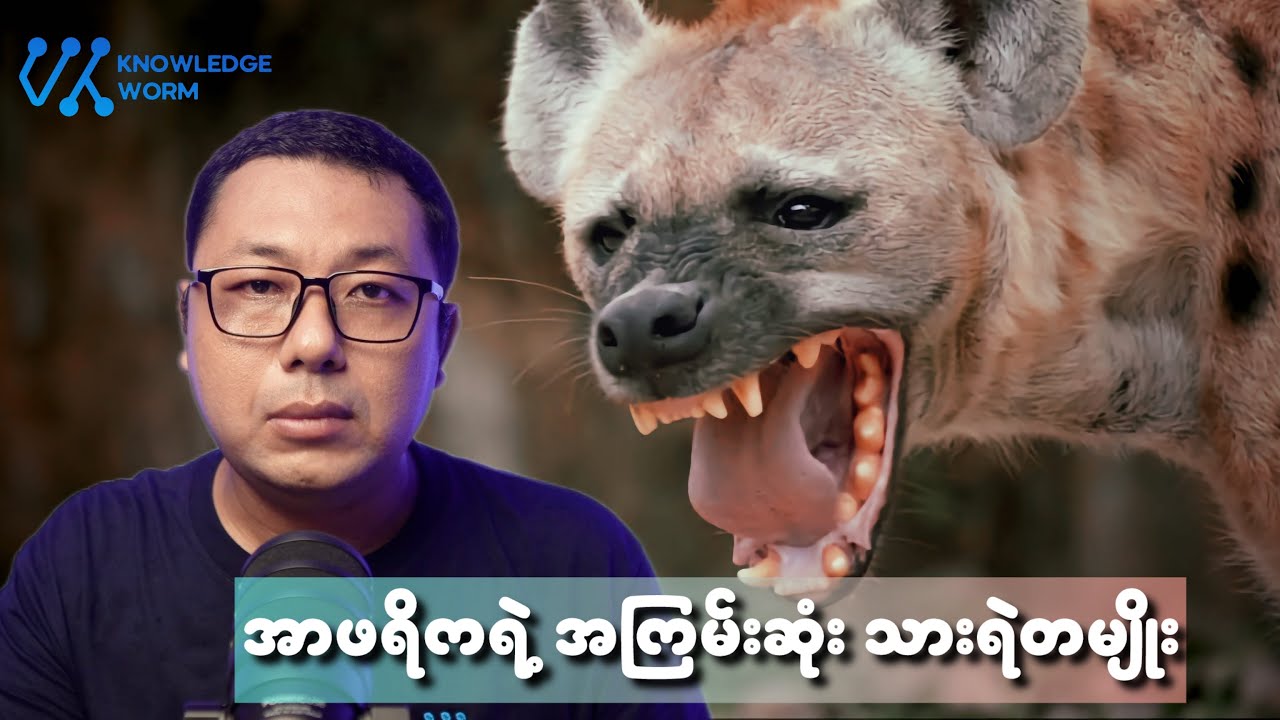 အာဖရိကရဲ့ အကြမ်းဆုံးသားရဲတွေထဲက တမျိုး သို့မဟုတ် ဟိုင်အီးနာ