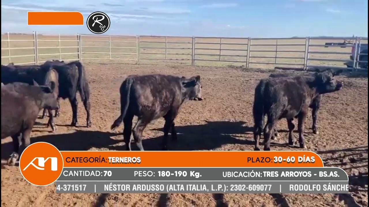 LOTE 120