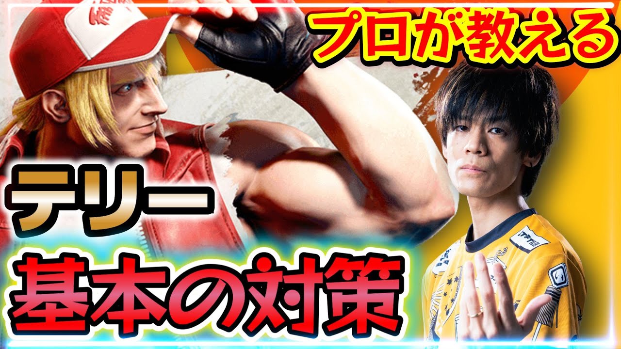 【スト6、SF6】テリー対策