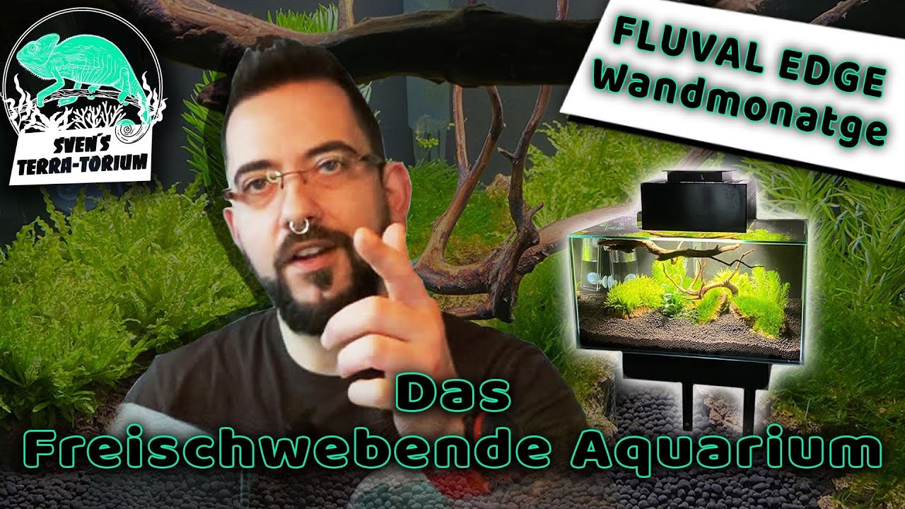 Das freischwebende Aquarium Fluval Edge Wandmontage hängend