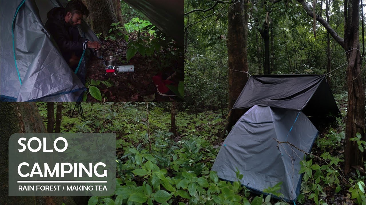 Solo Camping in Rain Forest | Making Tea