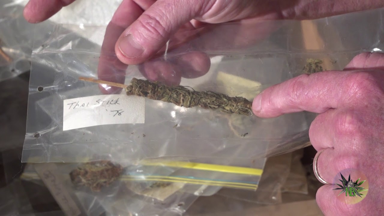 The Nectarball&reg; Collection as it appears in The Legend of 420