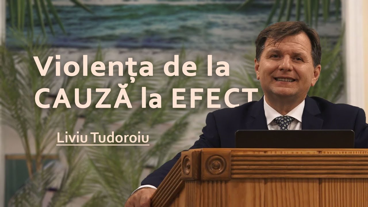 Liviu Tudoroiu - Violența de la cauză la efect