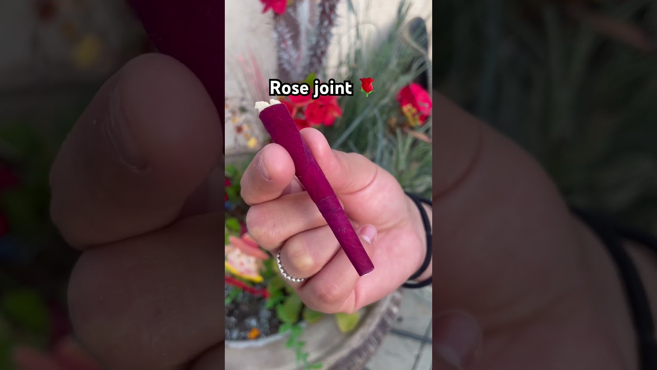 Would you try this rose petal roll? 🌹 #rose #viral #shortsvideo #shortsviral