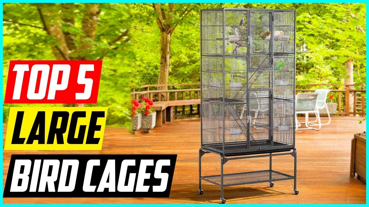 5 Best Large Bird Cages