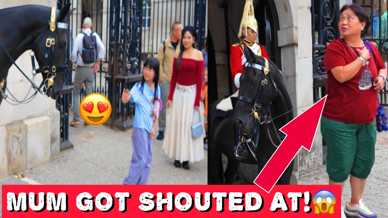 Little Girl WAVED at the Horse… But Her Mum Got SHOUTED AT! 😱