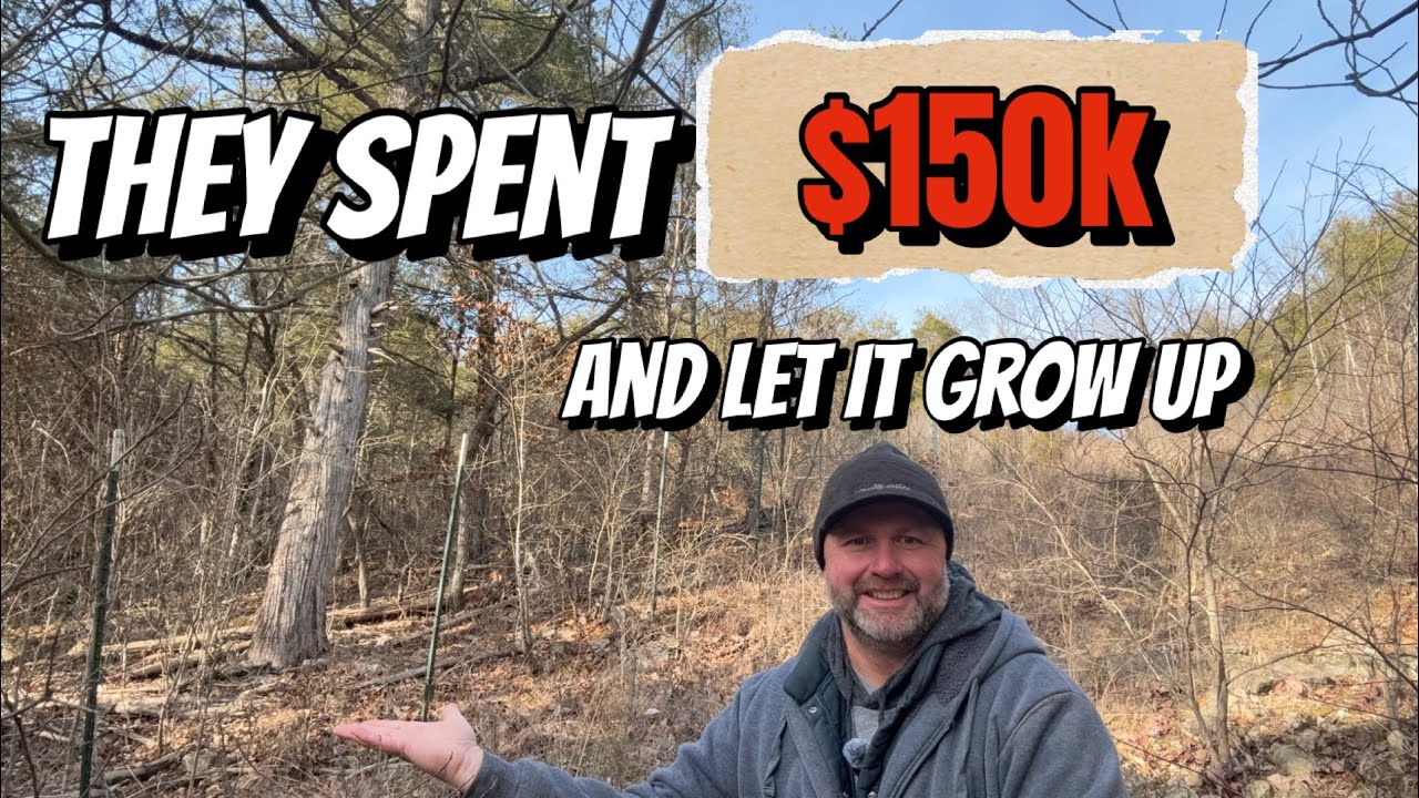 This Expensive Fence-Row Was Hidden for 10 Years — Not Anymore