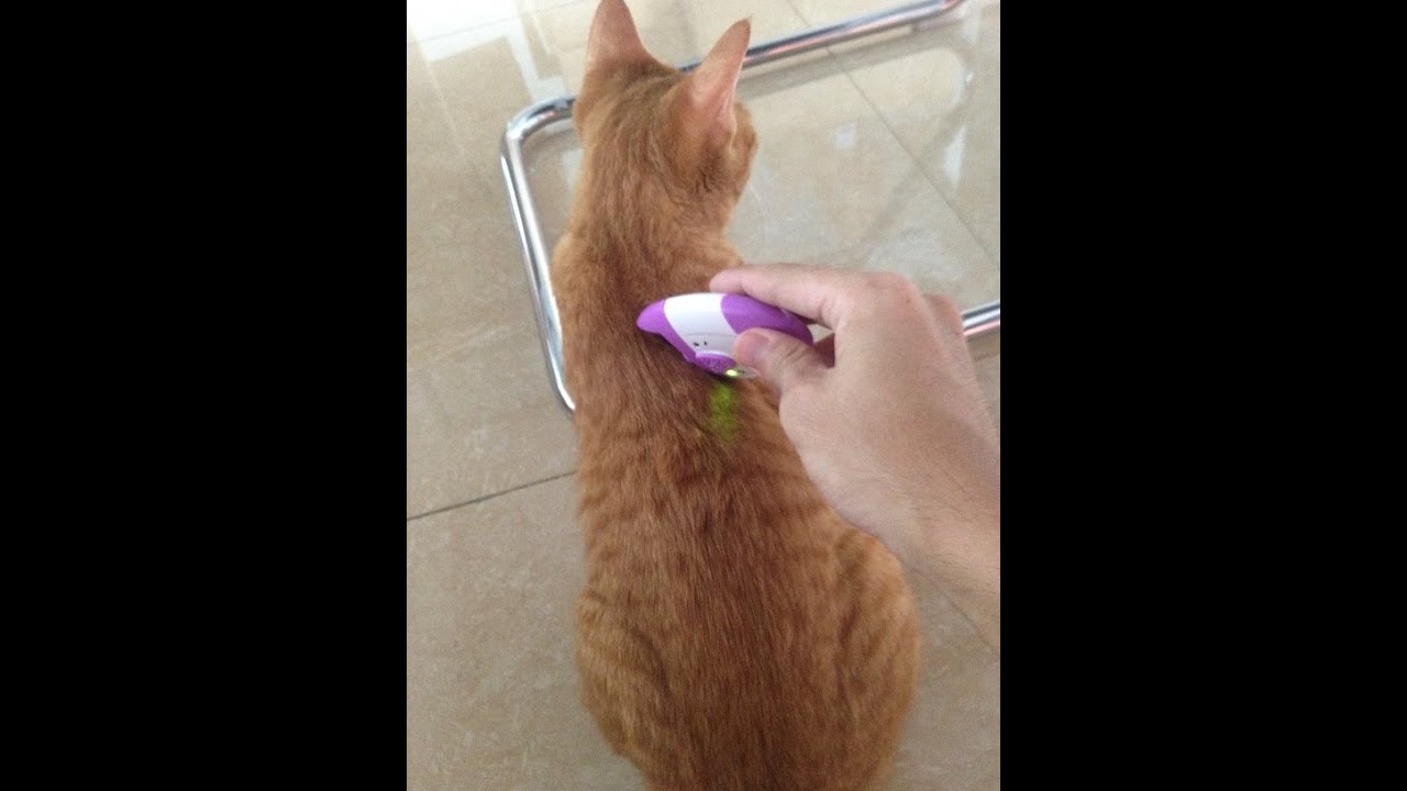 EVERMAX - Electronic Lice Comb