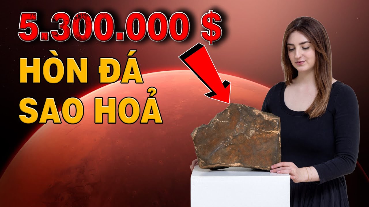Bí ẩn đằng sau thiên thạch Sao Hoả được đấu giá 5,3 triệu USD | Top thú vị |