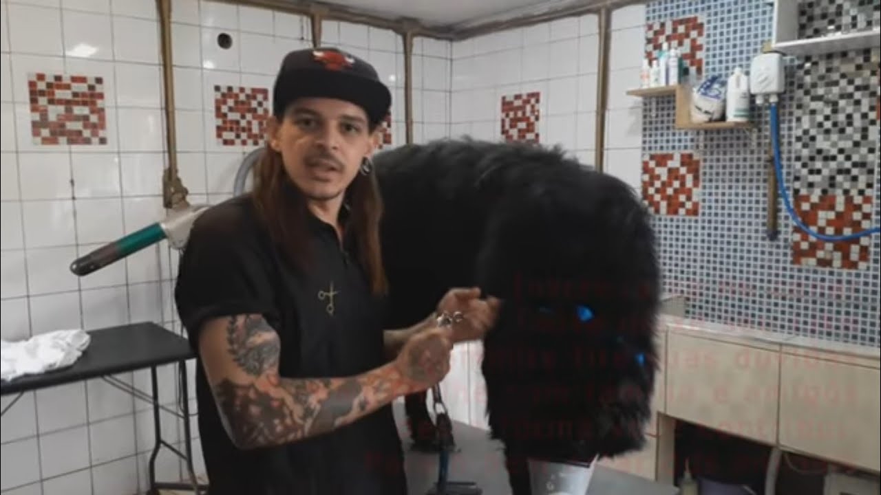 BANHO EM CACHORRO GRANDE