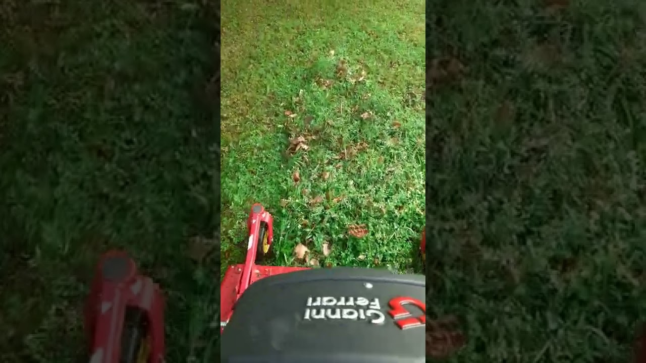 Taglio erba Gianni Ferrari PG 280 DW