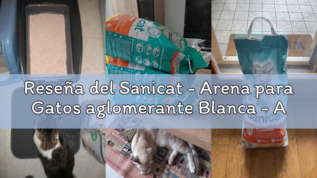 Reseña del Sanicat - Arena para Gatos aglomerante Blanca - Aroma a petalos de Rosa | | Hecha de mine