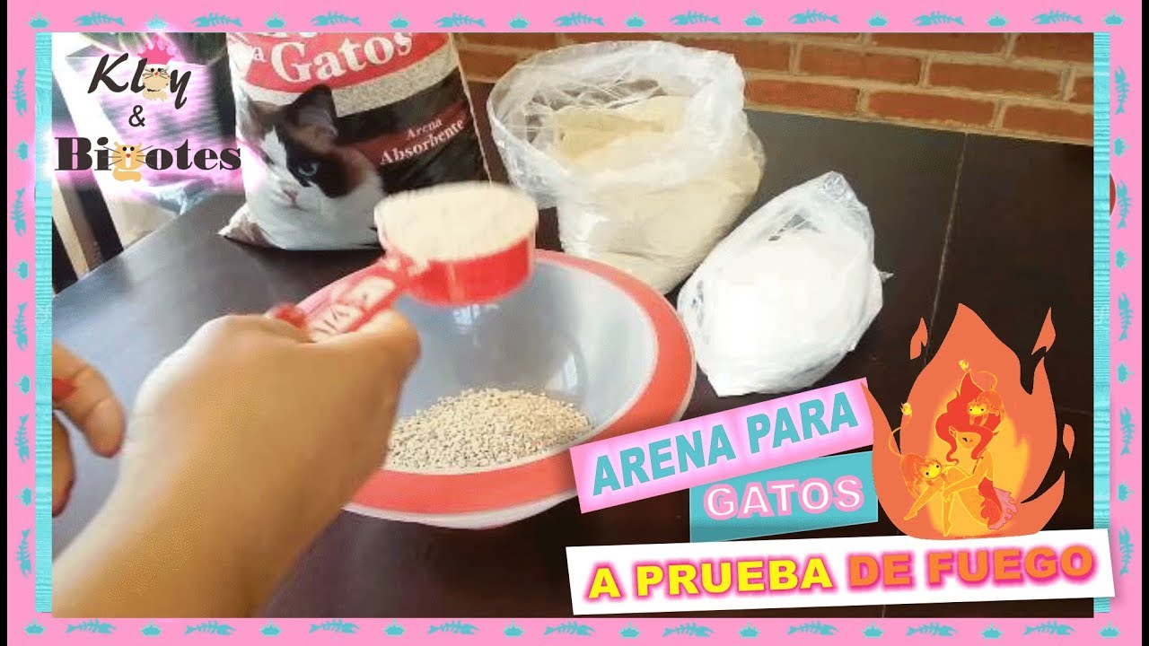 ARENA PARA GATO  MEJORADA y Elimina Malos Olores |A Prueba de Gato