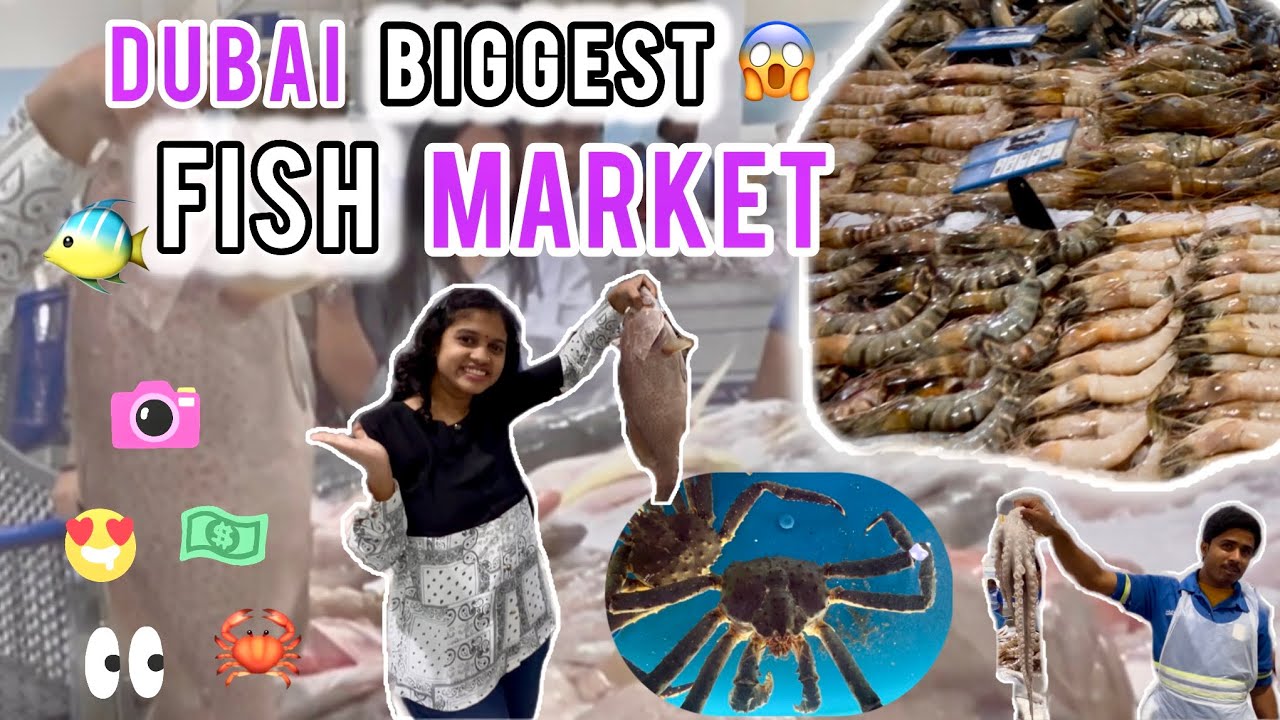 BIGGEST FISH MARKET IN DUBAI 🇦🇪🐟 | Waterfront Shopping🛍️ + Live Seafood 🦞🐠