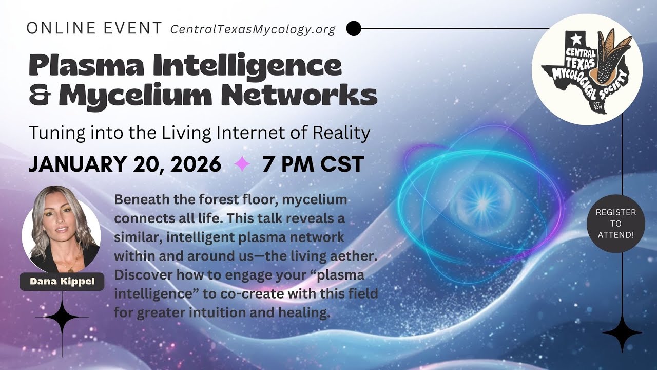 LIVE STREAM: Plasma Intelligence & Mycelium Networks