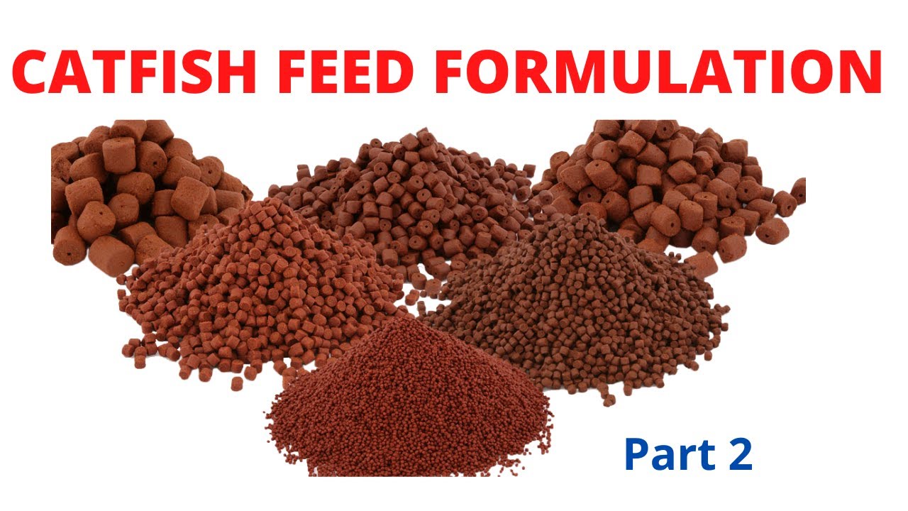 Catfish Feed Formulation: Cost of Feeding 1000 Fish