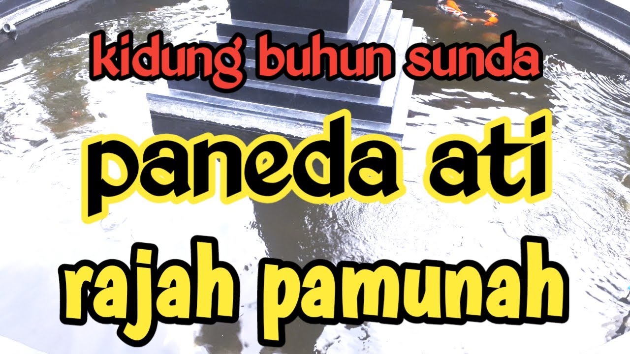 kidung buhun sunda rajah pamunah rasa paneda ati