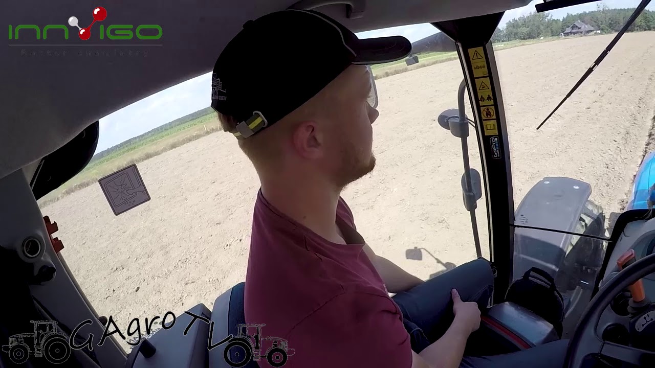 Uprawa rzepaku krok po kroku #2