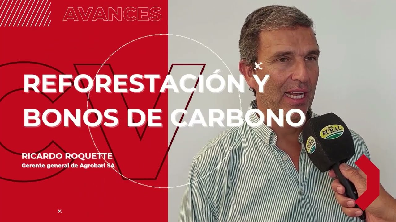CAMPO VISUAL XL 039