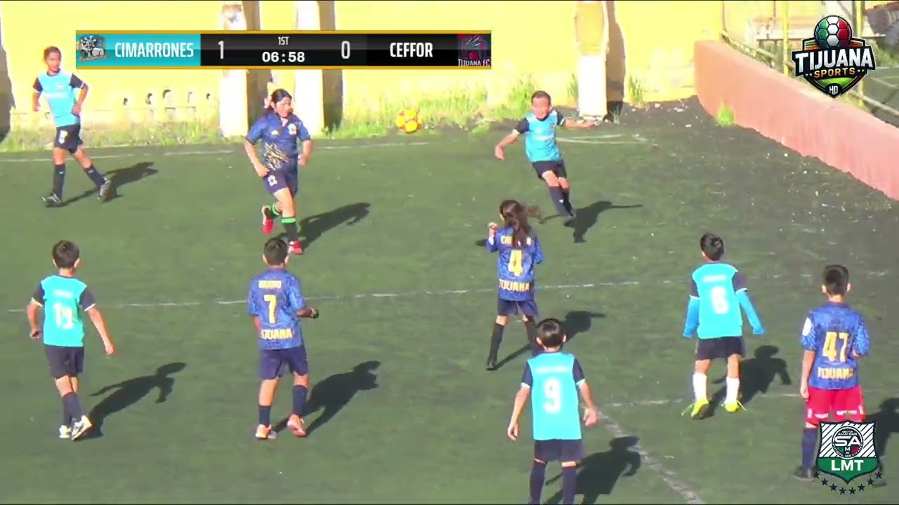 CIMARRONES VS CEFFOR CAT 2017 