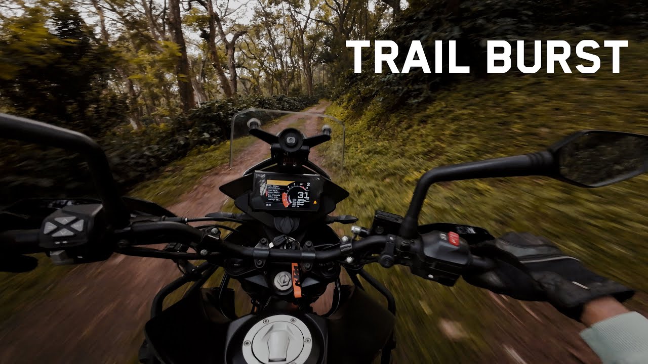 A Quick Forest Trail Ride in Chikkamagaluru | KTM Adventure 390 | DJI OSMO Action 4 | 4K RAW