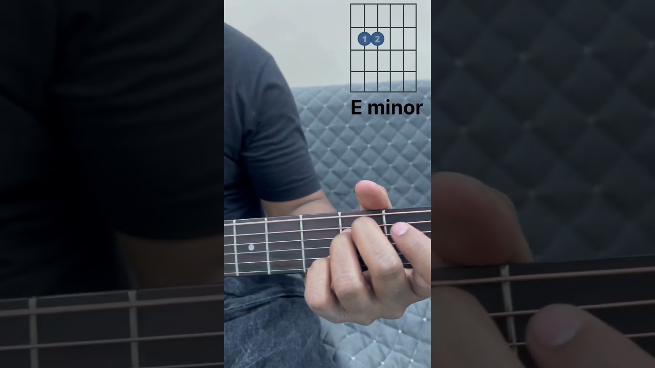 Pani da rang | guitar lesson | how to play pani da rang