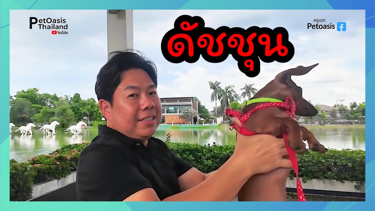 สอนสุนัขดัชชุนและเจ้าของปรับพฤติกรรมด้วยตัวเอง