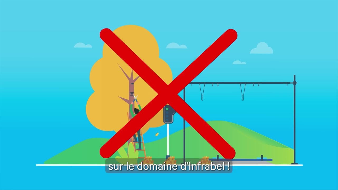 Des arbres sur les voies