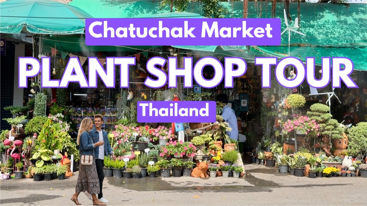 🪴 Chatuchak Plant Market Bangkok Thailand | The World's Biggest Street Market Plant Shop Tour