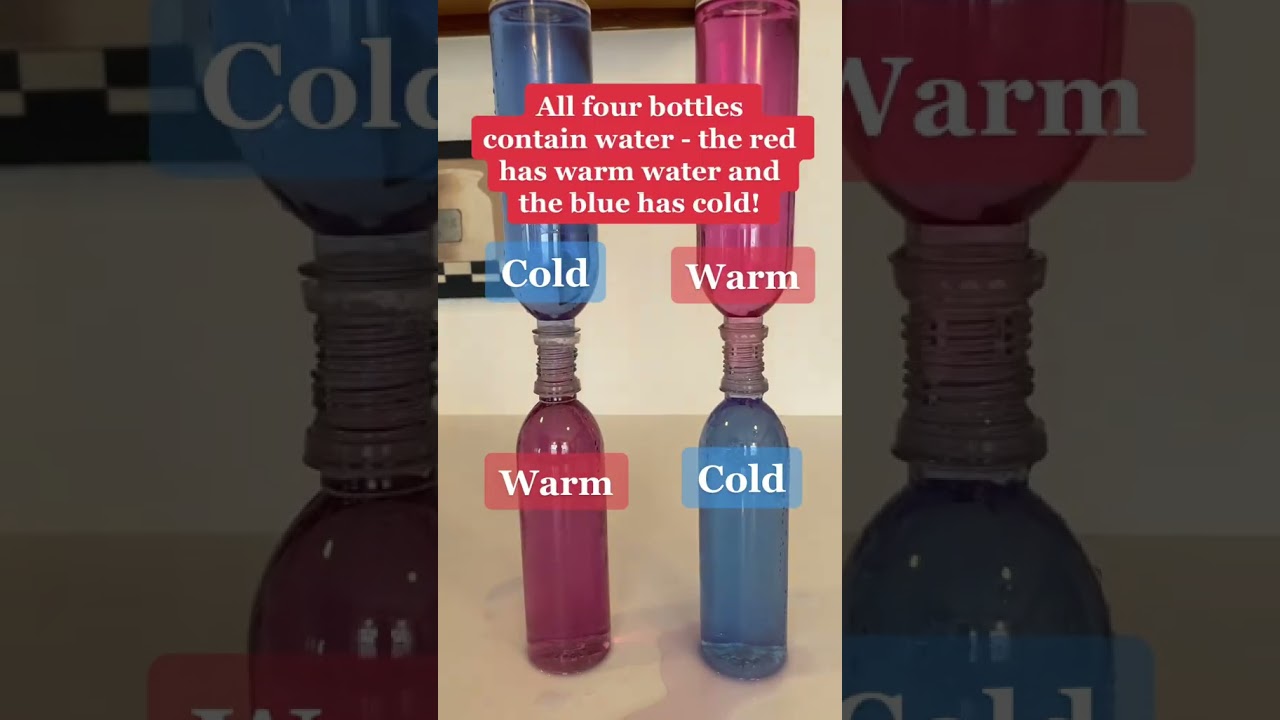 Convection with Water!💧#Science #STEM #Experiment #Convection #ConvectionCurrents #Shorts