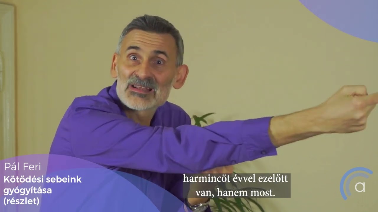 P&aacute;l Feri: K&ouml;tőd&eacute;si sebeink gy&oacute;gy&iacute;t&aacute;sa (www.auditorium.hu)
