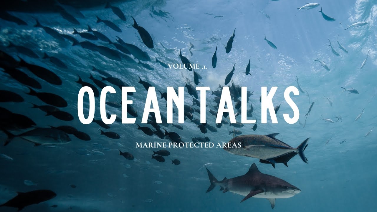 Ocean Talks: Marine Protected Areas