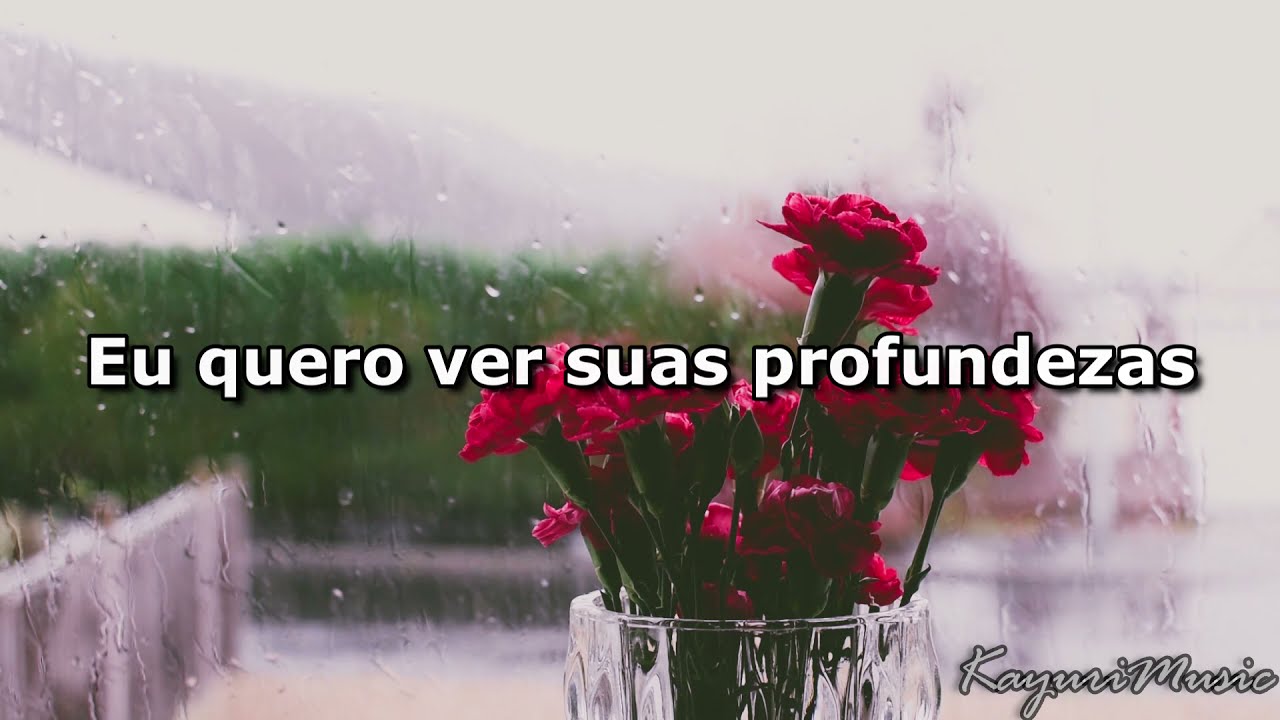 Aimer - Ref:Rain (tradução)