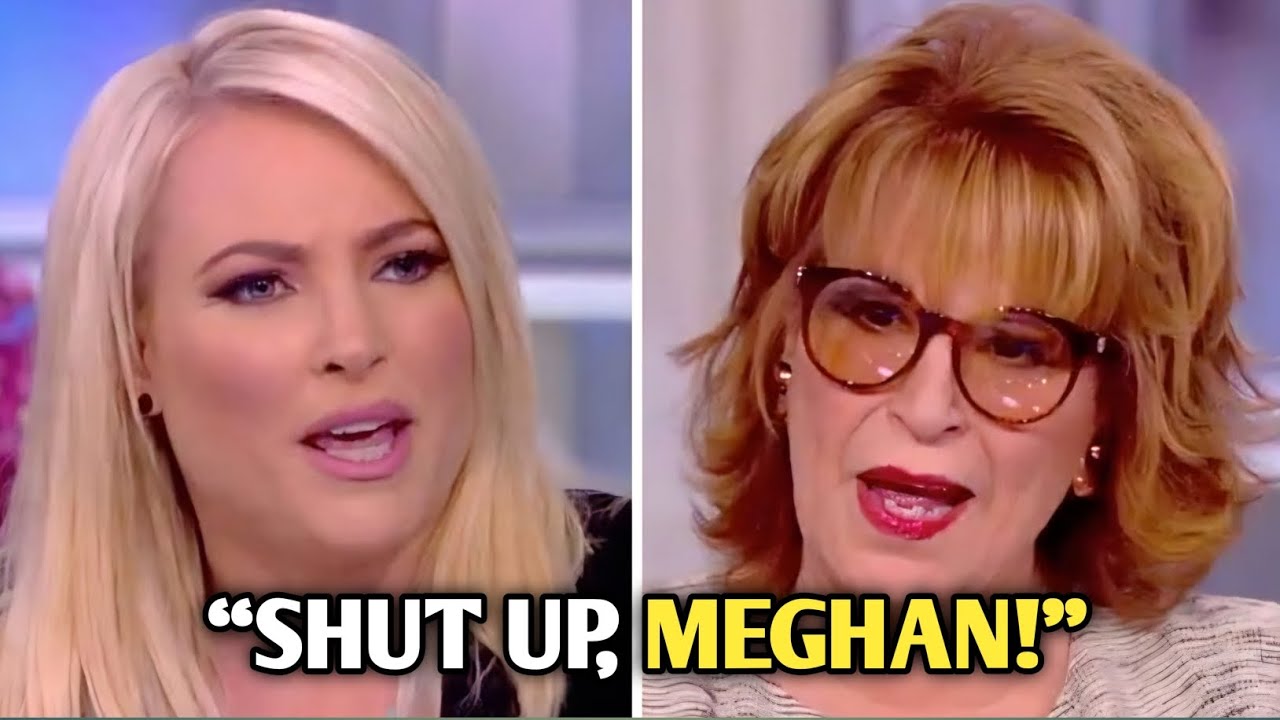 Meghan McCain clashes again with Joy Behar in latest appaearnce on the view